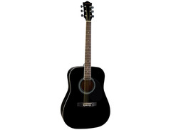 Colombo Guitars LF-4110 Accoustic Guitar image 3