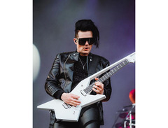 VIV Guitars Sascha Gerstner Signature Model image 2