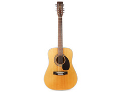 Alvarez Model 5021 12-String image 2