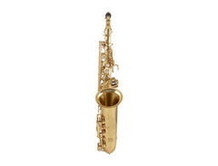 Yanagisawa A-WO1 Professional Alto Saxophone image 2