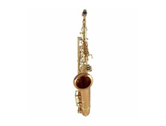 Yanagisawa AWO2 Professional Alto Saxophone image 3