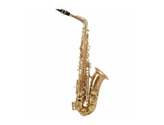 Yanagisawa AWO2 Professional Alto Saxophone image 4