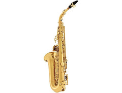 Yanagisawa A-WO10 Elite Professional Alto Saxophone image 2