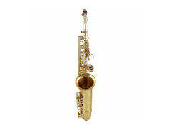 Yanagisawa A-WO30 Elite Professional Alto Saxophone with Sterling Silver Neck and Body image 2