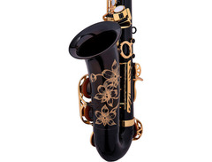 Jupiter JAS1100GOQ Alto Saxophone image 4