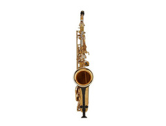 Yanagisawa T-WO30 Elite Professional Tenor Saxophone with Sterling Silver Neck and Body image 2