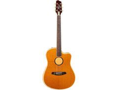 L.R. Baggs AEG-1 Acoustic-electric Guitar - Torrefied Spruce Top image 3