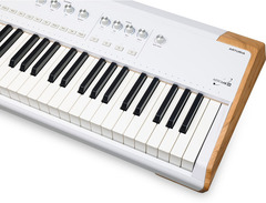 Arturia AstroLab 88 Stage Keyboard image 3