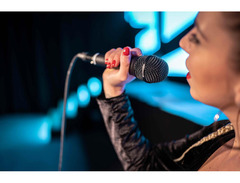 Beyerdynamic TG V70s Dynamic Vocal Microphone image 2