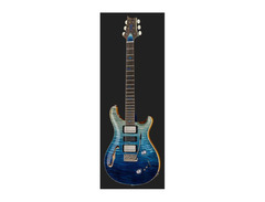PRS Private Stock #11461 Special Semi-Hollow Electric Guitar image 2