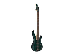 Yamaha TRBX605FM 5-string Bass Guitar image 3