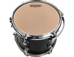 Evans G-Plus Coated image 4