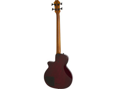 Epiphone Zenith image 2