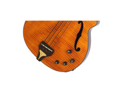 Epiphone Zenith image 3
