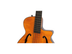 Epiphone Zenith image 4