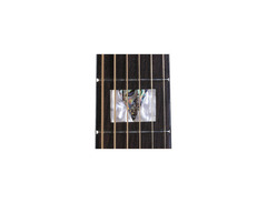 Takamine EG523SC image 2
