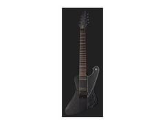 Ibanez Stoneman image 2
