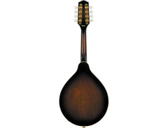 Fender FM-52E Acoustic-Electric Mandolin - What To Know & Where To