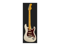 Fender American Stratocaster 2010 image 2