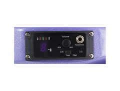 Peavey Rockmaster image 2