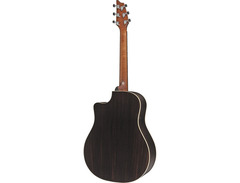 Breedlove Stage D25/SR image 2