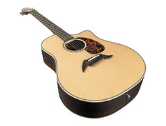 Breedlove Stage D25/SR image 4