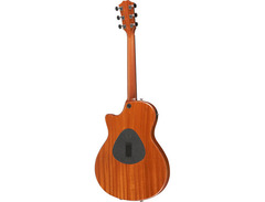 Taylor T5 image 2