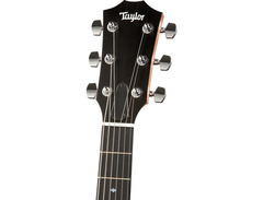 Taylor T5 image 4