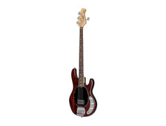 Music Man Sterling image 3