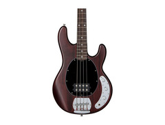 Music Man Sterling image 4