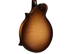 Gibson F-9 Mandolin image 2