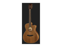 Lakewood M-14 image 2