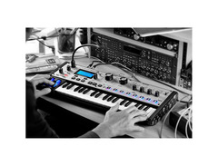 Novation MoroderNova Synthesizer image 3