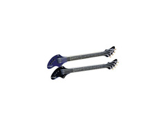 Ashbory Bass image 2