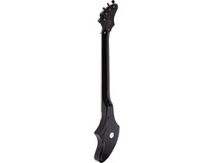 Ashbory Bass image 4