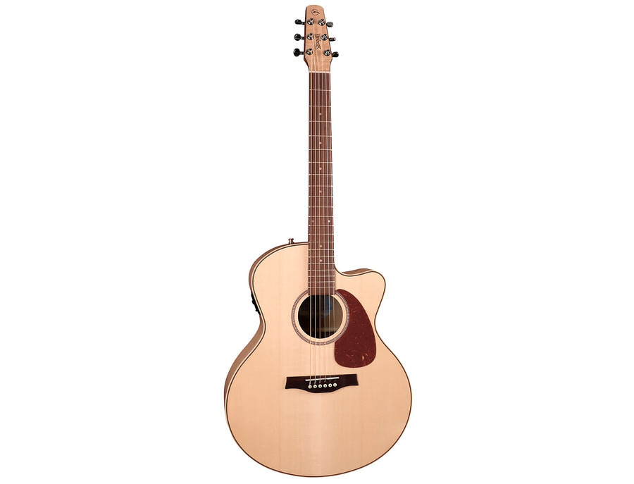Seagull Performer Mini Jumbo CW GT QII - What To Know & Where To