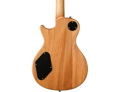 PRS SE Zach Myers Signature Semi-Hollow image 2