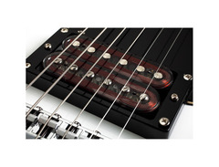 Schecter Shaun Morgan image 4