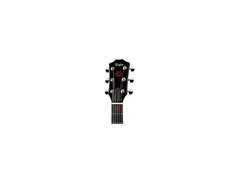 Taylor STSM-T5 image 3