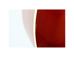 Seagull Entourage Rustic CW GT QI image 4