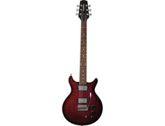 Hamer Sunburst image 3
