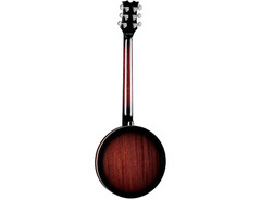 Dean BW6 Backwoods 6 String Banjo image 3