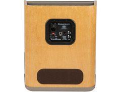 Fender Acoustic SFX Guitar Combo Amplifier image 3