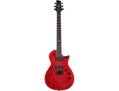 Chapman ML-2 image 3