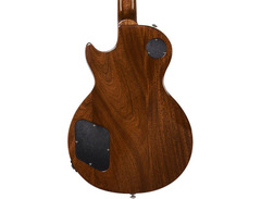 2016 Gibson Les Paul Special Pro image 2
