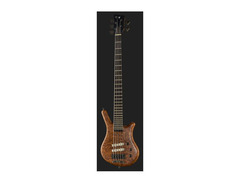 Warwick Thumb NT 5 Strings image 2