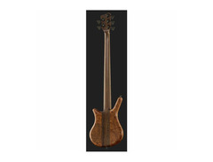 Warwick Thumb NT 5 Strings image 3