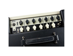 DV Mark 1x12 signature combo image 4