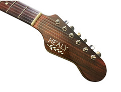 Healy Guitars Healer image 3