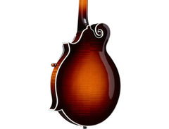 Gibson F-5L image 2